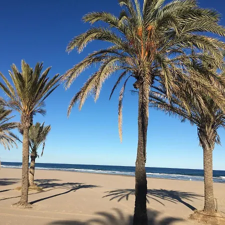 Nuevo Elegante Gandia