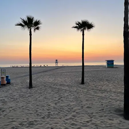 Nuevo Elegante Apartment Gandia